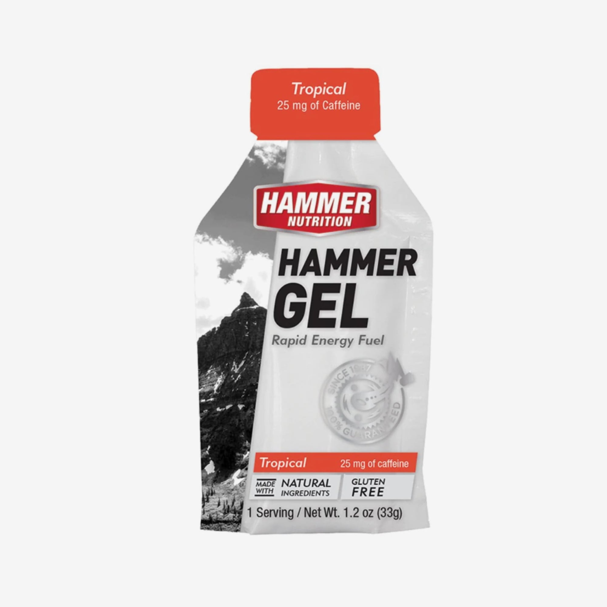 Hammer Nutrition - Hammer Gel